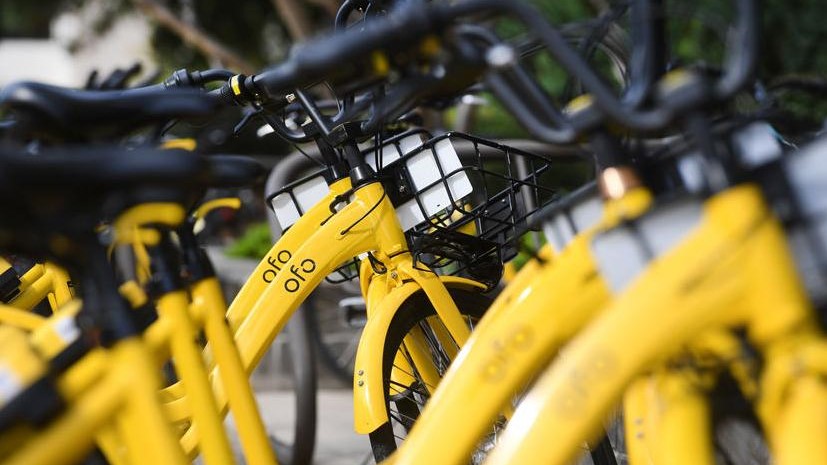 Ofo cheap bike tamu