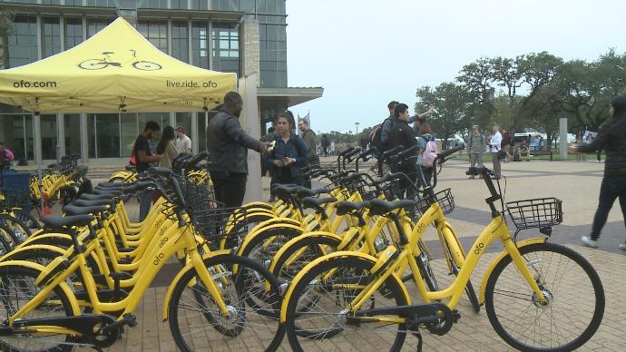 tamu bike share