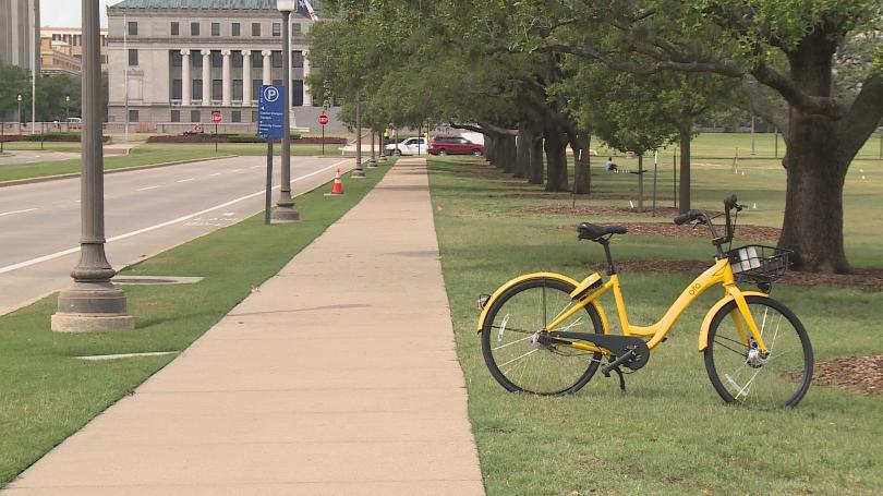 Ofo cheap bike tamu