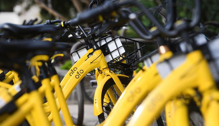 ofo tamu